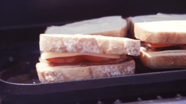 Sanduíche Queijo Grelhado Grelhado Com Tiras Bacon Tomate Fresco Grelha — Vídeo de Stock