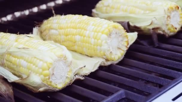 循序渐进 户外烧烤新鲜玉米 — 图库视频影像