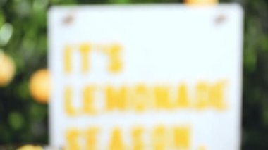 Frambuazlı limonata taze limon ve mason kavanoz içme içinde ahududu ile süslenmiş