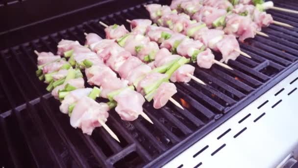 Steg För Steg Kyckling Yakitori Spett Utomhus Gasolgrill — Stockvideo