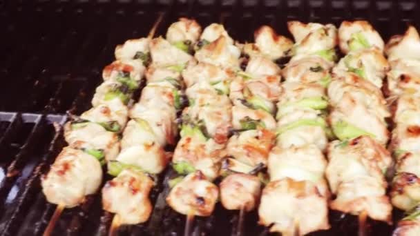 Krok Krokem Yakitori Kuřecí Bambusové Špejle Venkovní Plynový Gril Grilování — Stock video