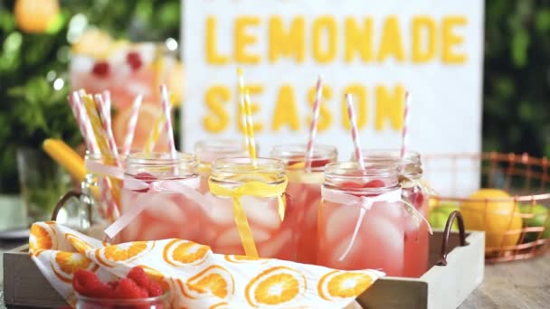 Raspberry Lemonade Garnished Fresh Lemon Raspberries Drinking Mason Jars — Stock Video