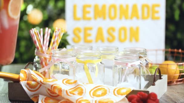 Langkah Demi Langkah Menuang Raspberry Limun Dengan Lemon Segar Dan — Stok Video