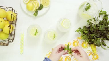 Limonata taze limon ve saman tepsi