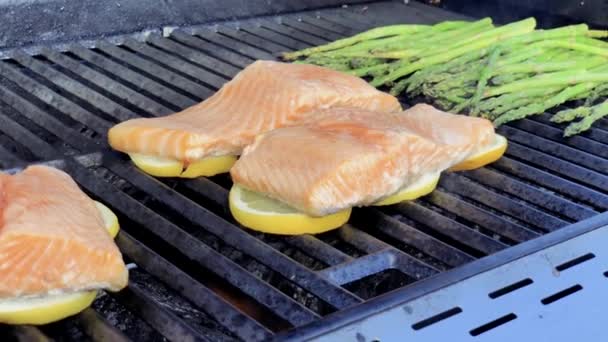 Stap Voor Stap Zalm Met Citroenen Outdooor Gasgrill Grillen — Stockvideo