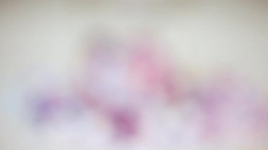 Renkli mor karışımı serpin 