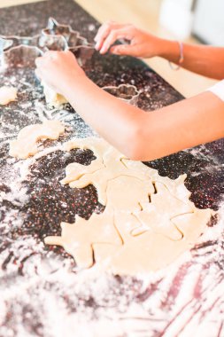 İnişli çıkışlı dışarı ve tek boynuzlu at şeker kurabiye kesme küçük kız.