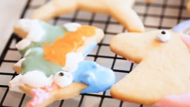 Děti Řemesla Zdobené Royal Poleva Jednorožec Cookies Sušák Prádlo — Stock video