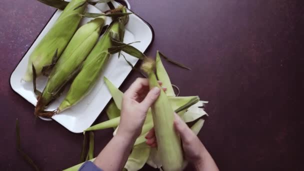 Stap Voor Stap Schelpen Verse Biologische Maïs Maken Van Mexicaanse — Stockvideo