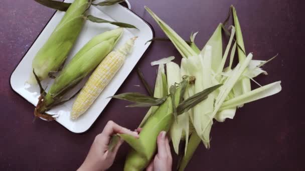 Krok Kroku Patroszenie Świeżego Zboża Ekologiczne Zrobić Meksykańska Sałatka Corn — Wideo stockowe