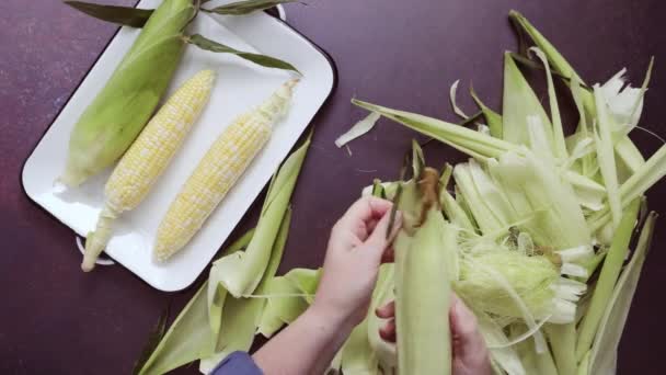 Stap Voor Stap Schelpen Verse Biologische Maïs Maken Van Mexicaanse — Stockvideo