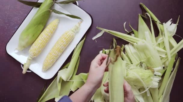 Pas Pas Cueillette Maïs Bio Frais Pour Faire Salade Maïs — Video