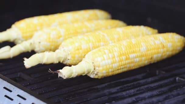 Stap Voor Stap Biologische Maïs Buiten Gasgrill Grillen — Stockvideo