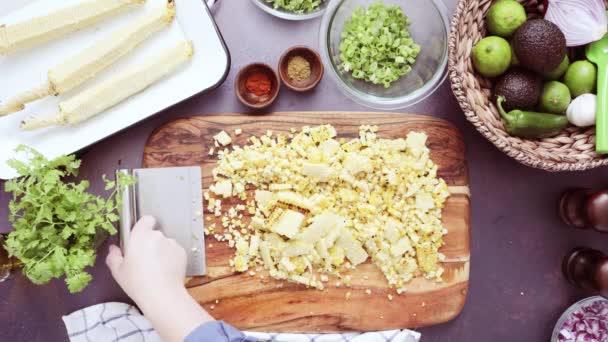 Preparación de guacamole casero — Vídeo de stock
