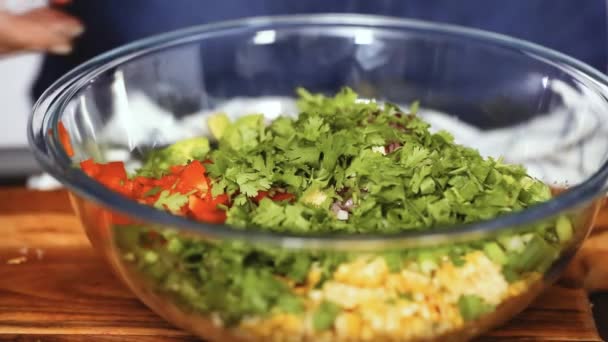 Preparación de guacamole casero — Vídeos de Stock