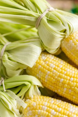 Meksika Caddesi ızgara hazırlığı taze malzemelerle elote Mısır.