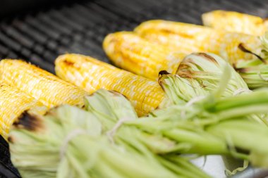 Meksika Caddesi Mısır elote açık gaz ızgara ızgara.