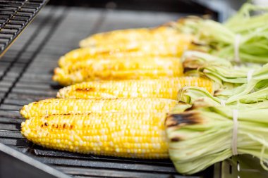 Meksika Caddesi Mısır elote açık gaz ızgara ızgara.
