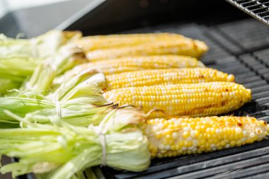 Meksika Caddesi Mısır elote açık gaz ızgara ızgara.