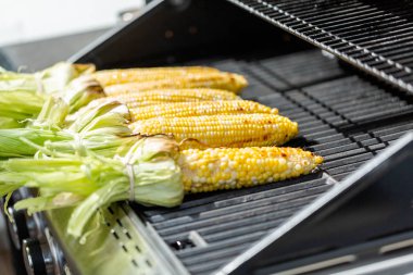 Meksika Caddesi Mısır elote açık gaz ızgara ızgara.