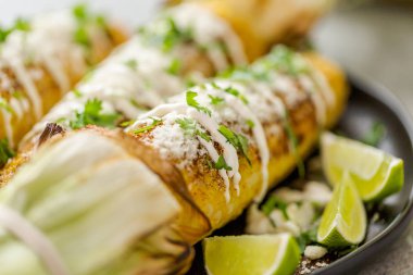Baharat ve bir servis tabağı üzerinde taze kişniş ile süslenmiş Meksika Caddesi Mısır elote ızgara.