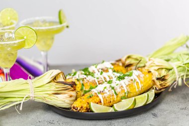 Baharat ve bir servis tabağı üzerinde taze kişniş ile süslenmiş Meksika Caddesi Mısır elote ızgara.