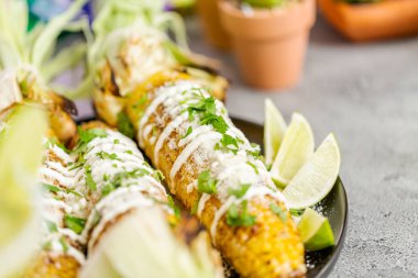 Baharat ve bir servis tabağı üzerinde taze kişniş ile süslenmiş Meksika Caddesi Mısır elote ızgara.