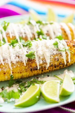 Baharat ve bir servis tabağı üzerinde taze kişniş ile süslenmiş Meksika Caddesi Mısır elote ızgara.