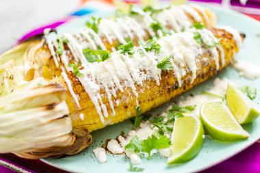 Baharat ve bir servis tabağı üzerinde taze kişniş ile süslenmiş Meksika Caddesi Mısır elote ızgara.