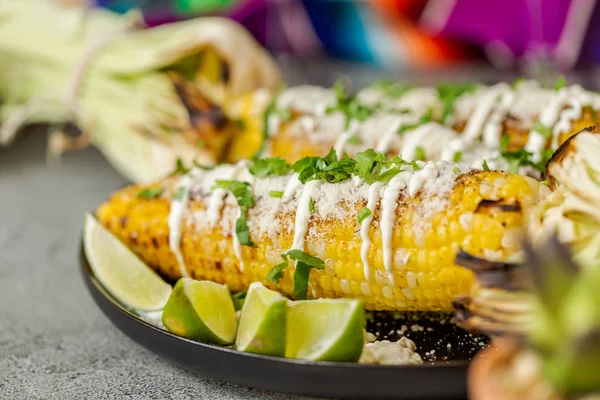 Baharat ve bir servis tabağı üzerinde taze kişniş ile süslenmiş Meksika Caddesi Mısır elote ızgara.