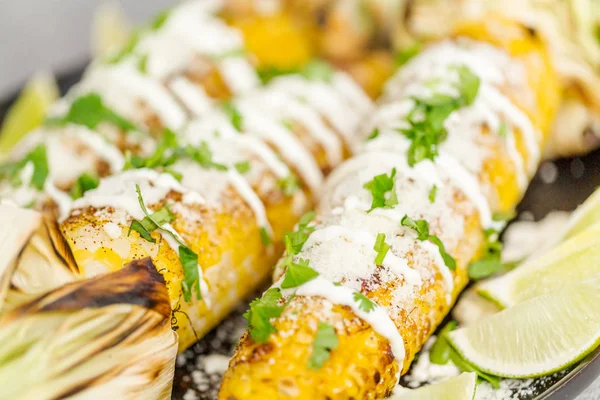 Baharat ve bir servis tabağı üzerinde taze kişniş ile süslenmiş Meksika Caddesi Mısır elote ızgara.