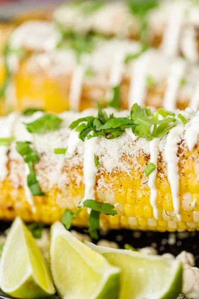 Baharat ve bir servis tabağı üzerinde taze kişniş ile süslenmiş Meksika Caddesi Mısır elote ızgara.