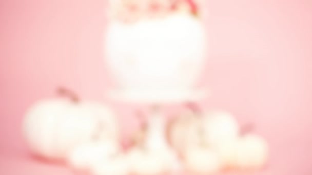 ピンクの背景の花で飾られた白いユニコーン カボチャ — ストック動画