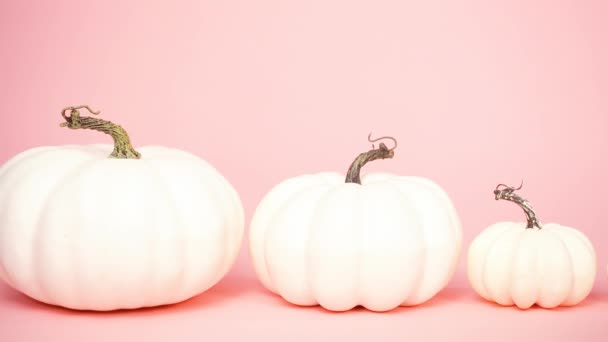 White Craft Pumpkins Different Sizes Pink Background — Stock Video