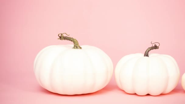 Calabazas Artesanales Blancas Diferentes Tamaños Sobre Fondo Rosa — Vídeo de stock