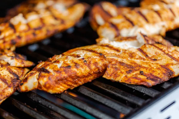 Grillezés Koi Hal Taco Szabadtéri Gáz Grill — Stock Fotó