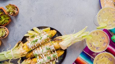 Elote baharat ve taze kişniş ile süslenmiş Meksika Mısır.