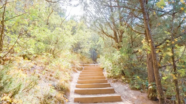 Caminhadas Outono Parque Estadual Castlewood Canyon — Fotografia de Stock