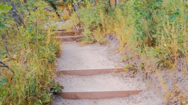 Hiking Autumn Castlewood Canyon State Park — Stok Foto