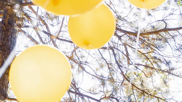 Κίτρινο Emoji Μπαλόνια Στο Μικρό Αγόρι Γενεθλίων Κόμμα Στο Πάρκο — Φωτογραφία Αρχείου