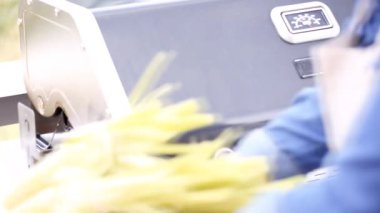 Meksika Caddesi Mısır elote açık gaz ızgara ızgara.