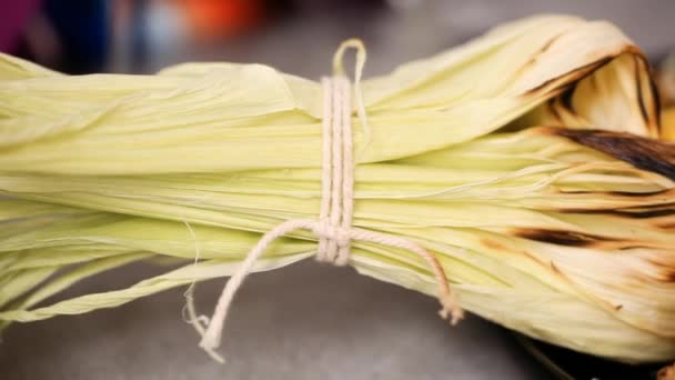 Elote Plaka Hizmet Üzerinde Taze Kişniş Ile Süslenmiş Meksika Mısır — Stok video