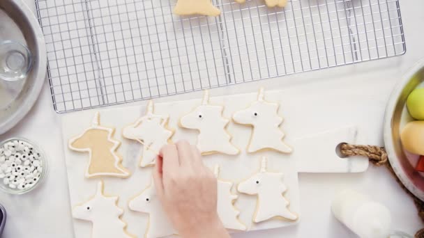 Widok Góry Krok Kroku Dekorowanie Jednorożca Kształcie Cookies Cukru Lukier — Wideo stockowe
