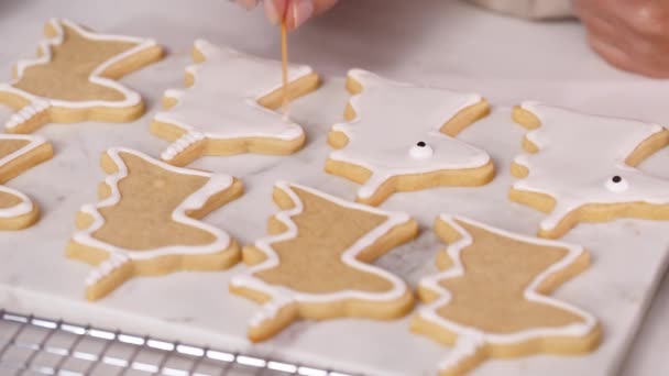 Schritt Für Schritt Zuckerkekse Einhornform Mit Königlichem Zuckerguss Für Kleine — Stockvideo