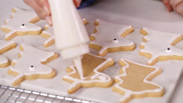 Krok Krokem Zdobení Jednorožec Tvarované Cukroví Royal Poleva Pro Malou — Stock video