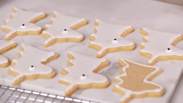 Lépésről Lépésre Díszítő Egyszarvú Alakú Királyi Jegesedés Cukor Cookie Kis — Stock videók