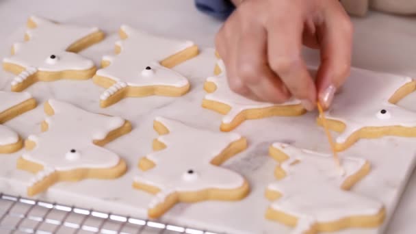 Lépésről Lépésre Díszítő Egyszarvú Alakú Királyi Jegesedés Cukor Cookie Kis — Stock videók