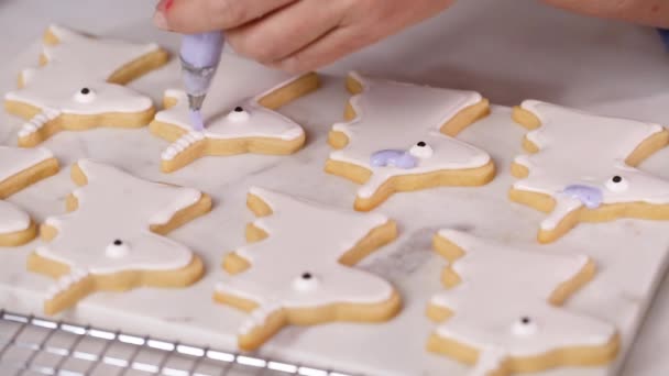 Lépésről Lépésre Díszítő Egyszarvú Alakú Királyi Jegesedés Cukor Cookie Kis — Stock videók