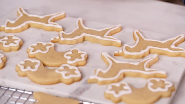 Lépésről Lépésre Díszítő Egyszarvú Alakú Királyi Jegesedés Cukor Cookie Kis — Stock videók