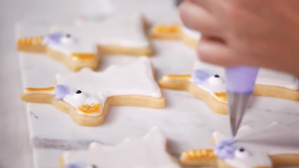 Passo Dopo Passo Decorare Biscotti Zucchero Forma Unicorno Con Glassa — Video Stock